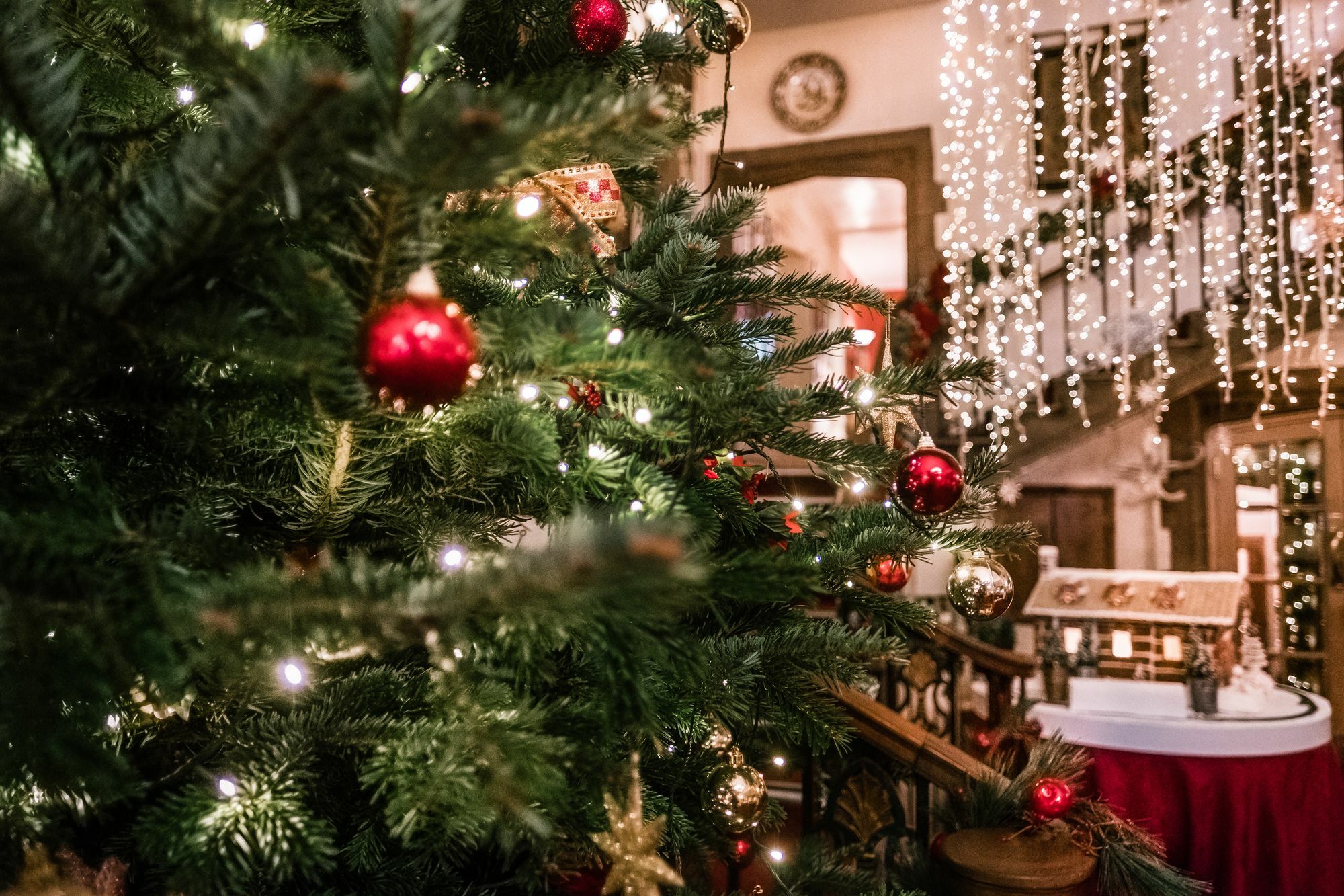 Castle Hotel Тонтон Екстер'єр фото